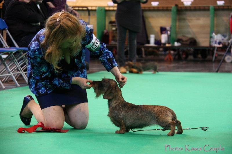 Crufts2011_2 1406.jpg